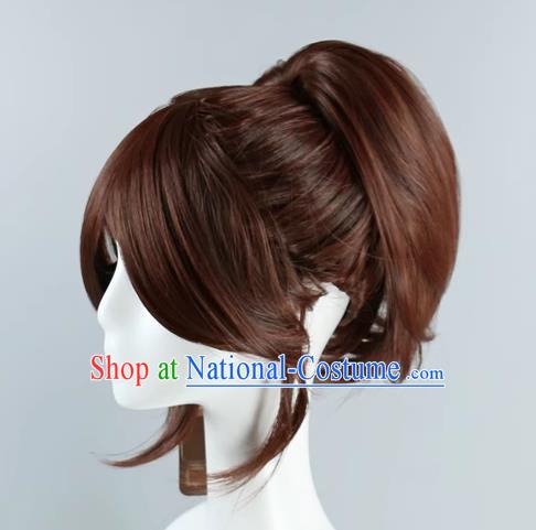 Brown Single Ponytail Wig