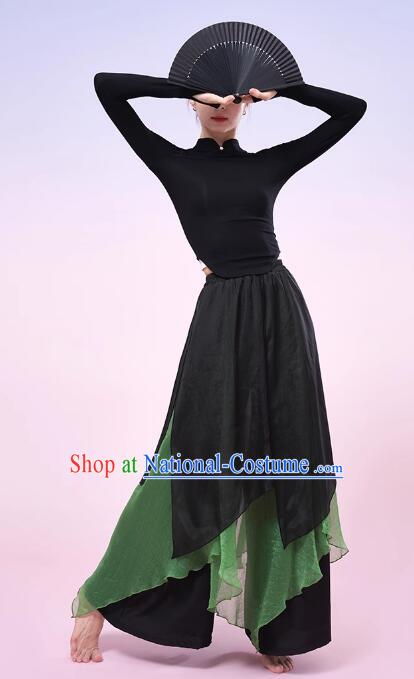 China Classical Dance Costume Woman Dance Training Clothing Modern Dance Black and Green Outfit