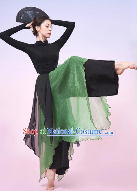 China Classical Dance Costume Woman Dance Training Clothing Modern Dance Black and Green Outfit