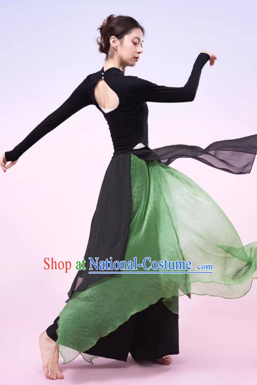 China Classical Dance Costume Woman Dance Training Clothing Modern Dance Black and Green Outfit