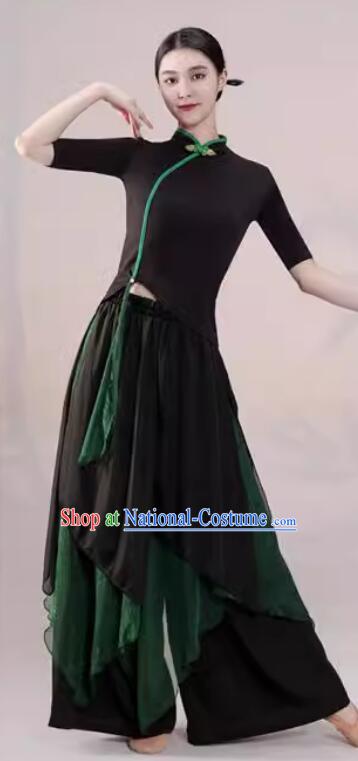 China Modern Dance Black and Green Outfit Classical Dance Costume Woman Dance Training Clothing