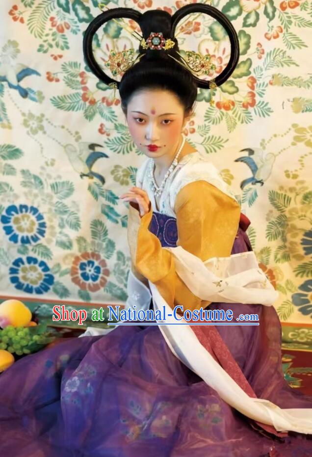 Chinese Tang Dynasty Princess Garments Ancient Young Lady Costumes Classical Dance Hanfu Dress