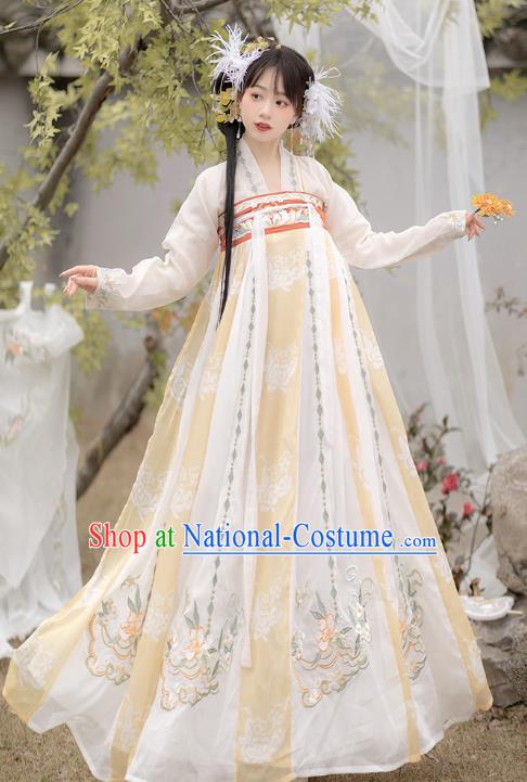 Chinese Traditional Hanfu Dresses Ancient Fairy Clothing Tang Dynasty Royal Princess Costumes