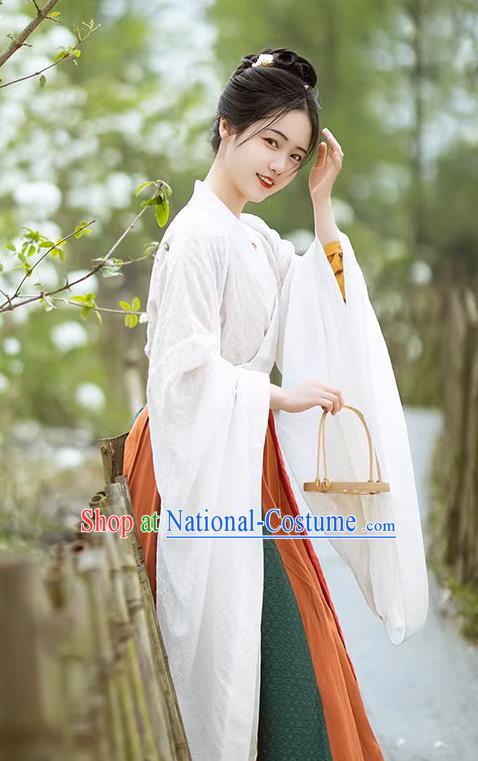 China Hanfu Dresses Wei Jin Northern and Southern Dynasties Women Costumes Chinese Ancient Princess Clothing