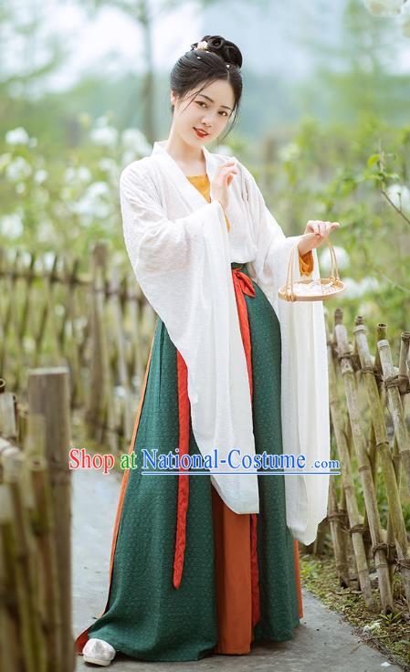 China Hanfu Dresses Wei Jin Northern and Southern Dynasties Women Costumes Chinese Ancient Princess Clothing