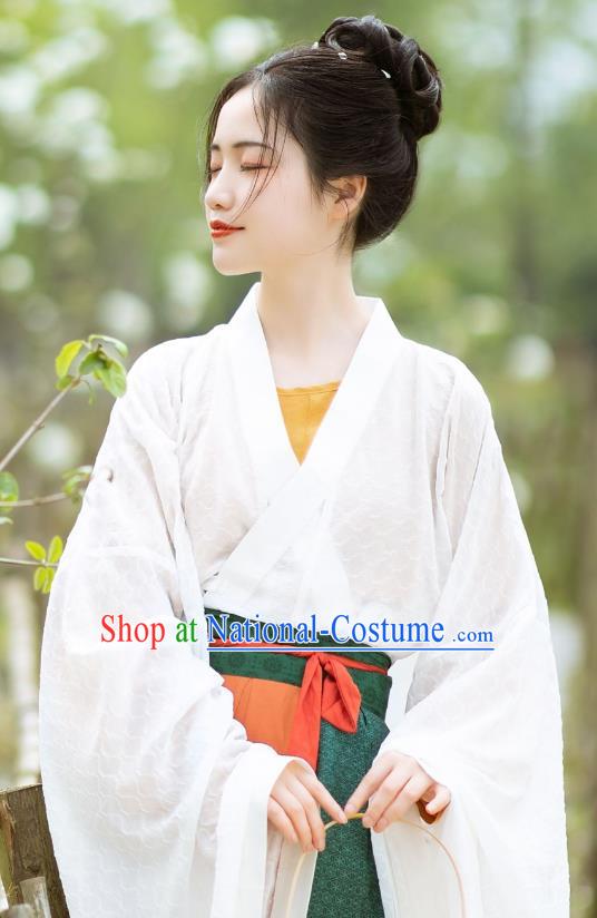 China Hanfu Dresses Wei Jin Northern and Southern Dynasties Women Costumes Chinese Ancient Princess Clothing