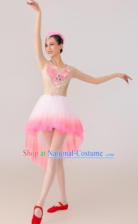 China 2021 Spring Festival Gala Crested Ibises Costume Modern Dance Clothing Dancing Competition Pink Dress