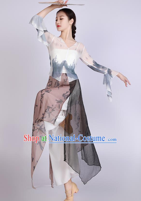 Women Solo Dance Clothing Chinese Classical Dance Costume Ink Painting Dance Training Garment