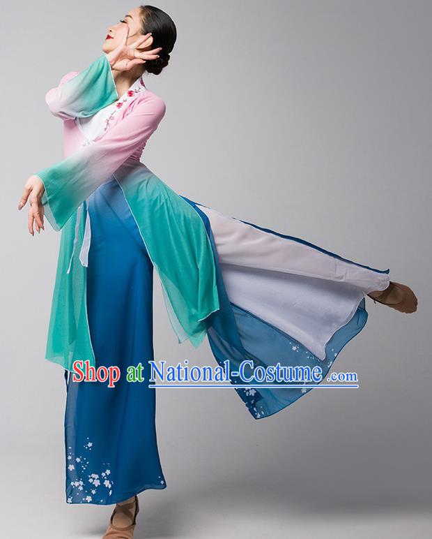 Classical Dance Chinese Ancient Style Gauze Body Elegant Shawl Performance Dance Clothing Practice Clothing Dream Catcher Adult Chiffon