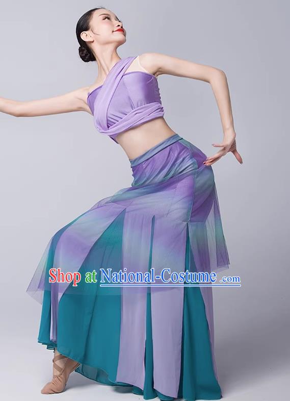 Art Examination Peacock Dance Practice Skirt Dai Dance Costume Female National Dance Performance Clothing