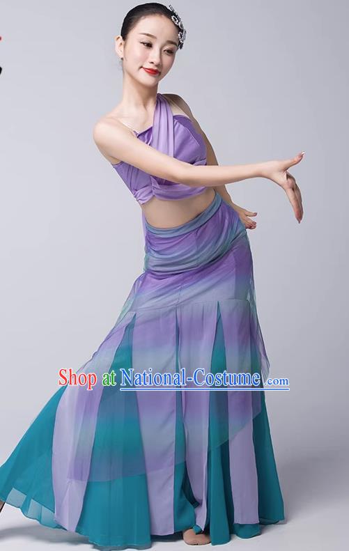 Art Examination Peacock Dance Practice Skirt Dai Dance Costume Female National Dance Performance Clothing