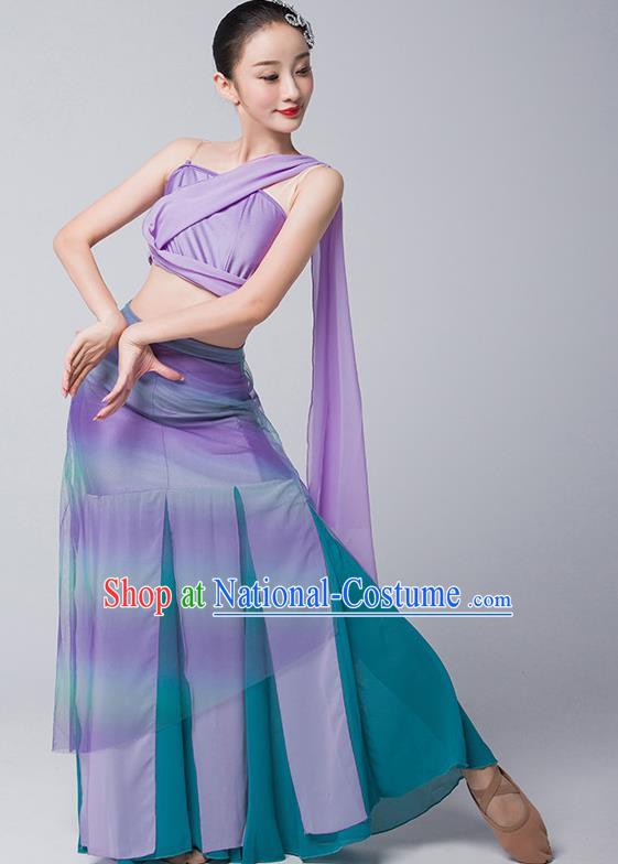 Art Examination Peacock Dance Practice Skirt Dai Dance Costume Female National Dance Performance Clothing