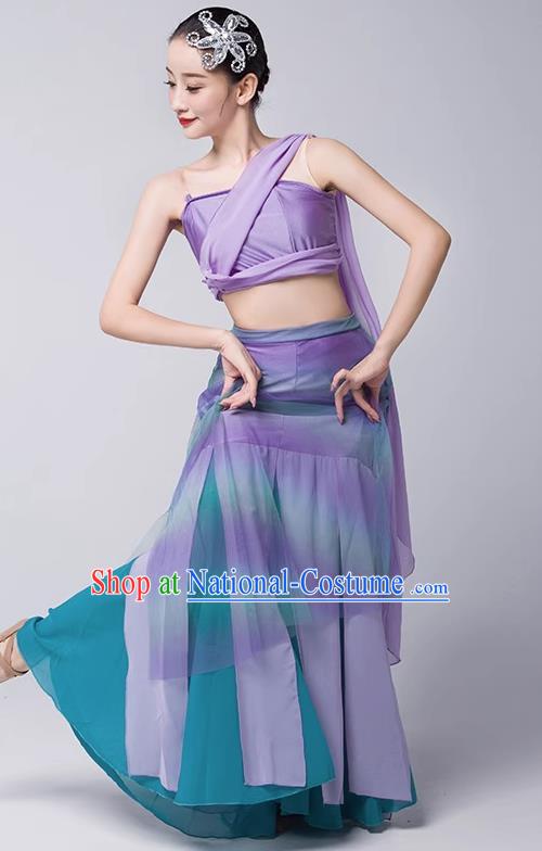 Art Examination Peacock Dance Practice Skirt Dai Dance Costume Female National Dance Performance Clothing