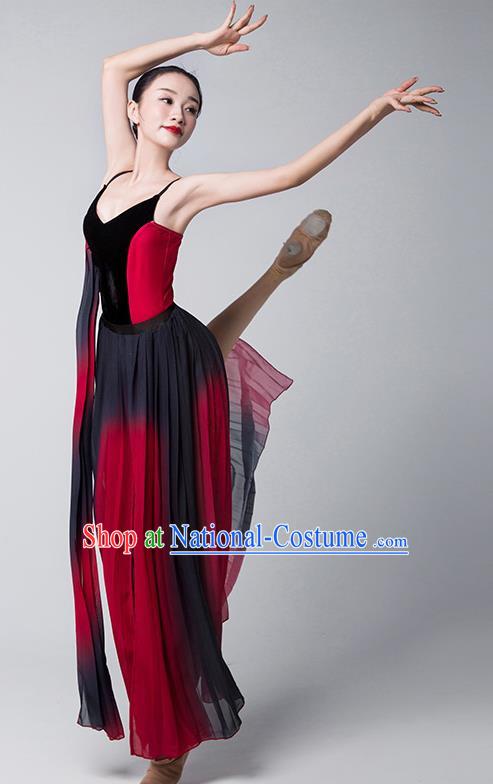 Modern Dance Clothing With The Same Style Of Rouge Dance Storm Performance Clothing Female Elegant Long Skirt Chinese Style Adult