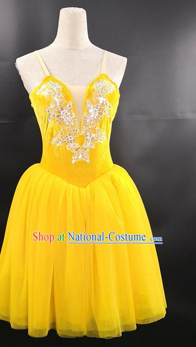 Ballet Performance Costume Long Skirt Custom Dance Aerobics Stage Ballet Costume Gauze Skirt Tutu Skirt Performance Costume