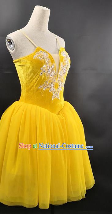 Ballet Performance Costume Long Skirt Custom Dance Aerobics Stage Ballet Costume Gauze Skirt Tutu Skirt Performance Costume