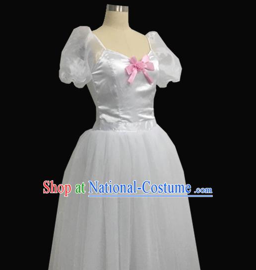 Ballet Costumes Professional Giselle Dress Chest Applique Fluffy Princess Dress Repertoire Costumes