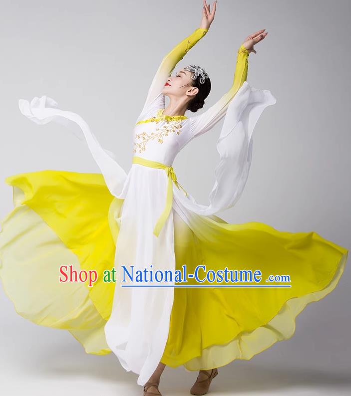 Group Dance Modern Dance Costume Elegant Large Skirt Performance Costume