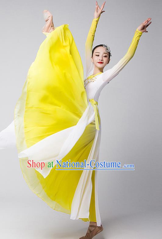 Group Dance Modern Dance Costume Elegant Large Skirt Performance Costume