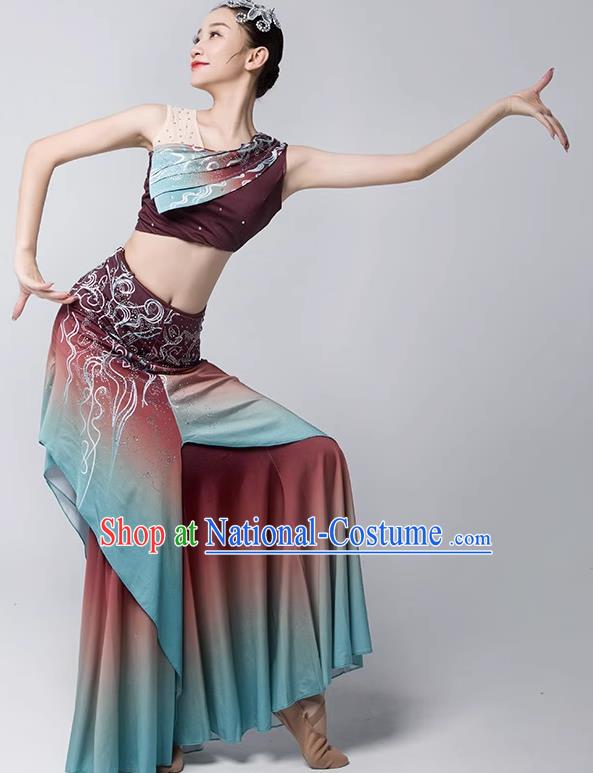 Dai Costume Female Practice Dance Performance Clothing Art Test Practice Skirt Adult Peacock Fishtail Skirt Performance Clothing