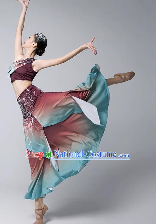 Dai Costume Female Practice Dance Performance Clothing Art Test Practice Skirt Adult Peacock Fishtail Skirt Performance Clothing