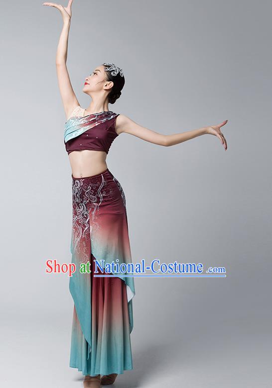 Dai Costume Female Practice Dance Performance Clothing Art Test Practice Skirt Adult Peacock Fishtail Skirt Performance Clothing