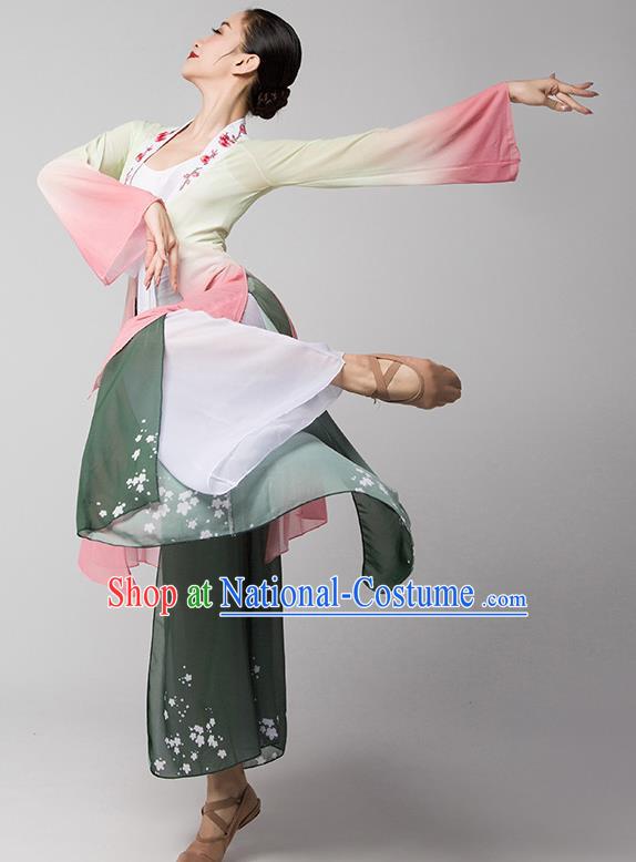 Classical Dance Chinese Dance Long Sleeved Trumpet Sleeve Dance Gauze Body Yoga Body Rhyme Practice Clothing Female