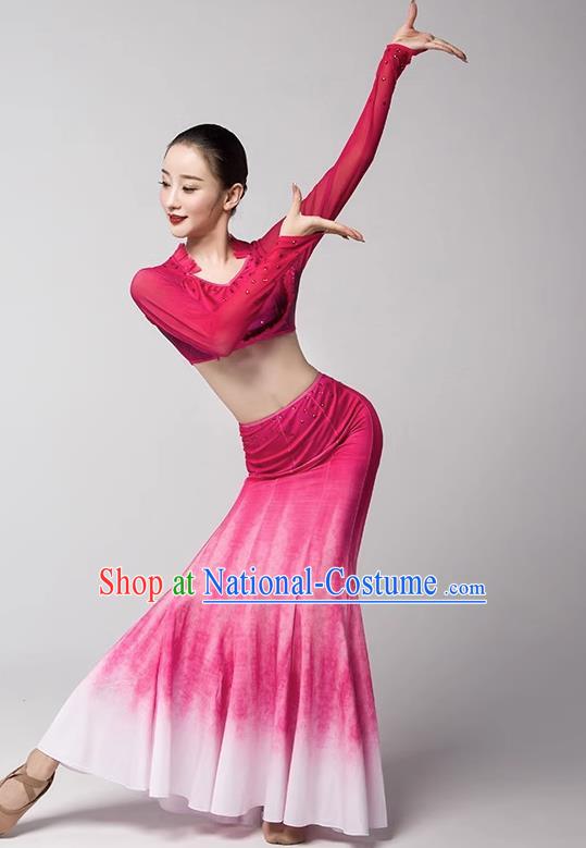 Taoli Cup Art Test Practice Clothing Performance Adult Children Dai Dance Performance Clothing Girl Peacock Dance Mermaid Skirt