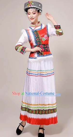 Ethnic Minority Costume Lisu Dance Performance Costume Adult Female Yunnan Performance Costume Suit Skirt