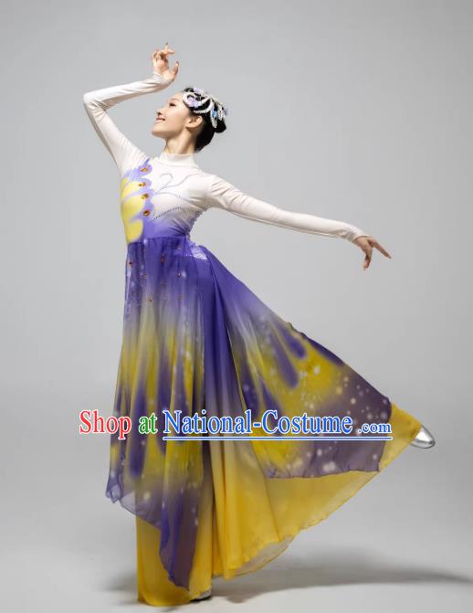 Classical Dance Dream Butterfly Flying Gradient Fan Dance Performance Costume