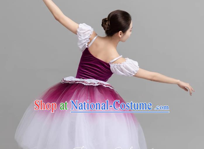 Children Spring And Summer Gauze Skirt Gradient Middle Child Long Princess Lace Stage Costume Performance Costume Li Dress Skirt