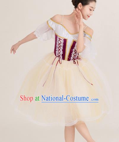 Long Skirt Lace Palace Lace Dance Skirt Performance Costume Stage Costume