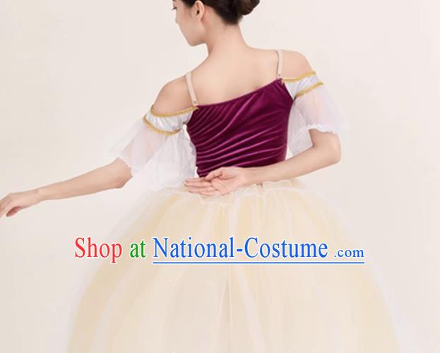 Long Skirt Lace Palace Lace Dance Skirt Performance Costume Stage Costume