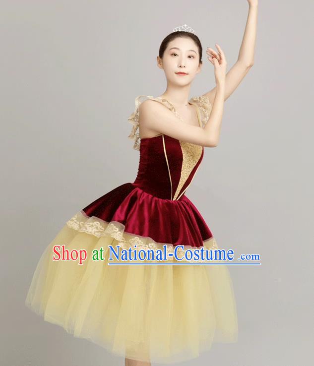 Women Sequined Gauze Dress Performance Costume Palace Wind Tutu Skirt Long Skirt Performance Costume Stage Costume