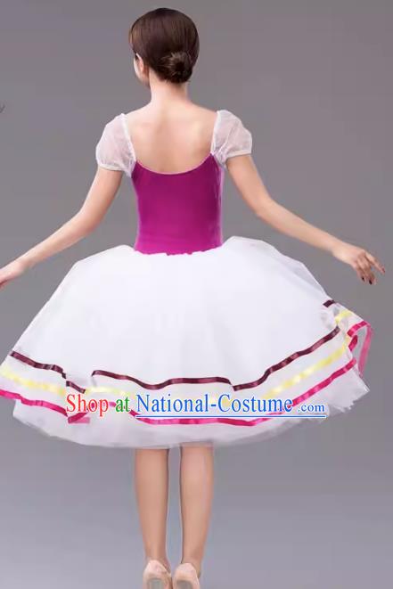 Gauze Skirt Performance Clothing Women White Long Tutu Skirt Ballet Professional Dance Skirt Performance Clothing