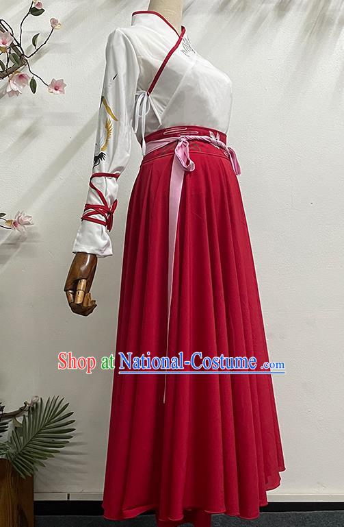 China Classical Dance Book Simple Simple Solid Color Elegant Long Skirt Practice Ancient Style Dance Costume