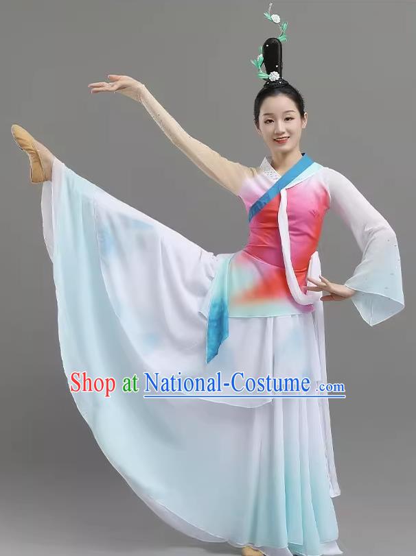 China Classical Dance Landscape Dance Costume Art Examination Adult Performance Clothing Elegant Skirt Female Performance Clothing