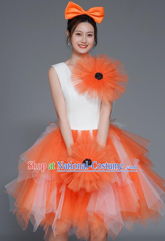 Modern Dance Costumes Fashion Dancer Costumes Opening Dance Costumes Fluffy Chorus Square Dance Dresses