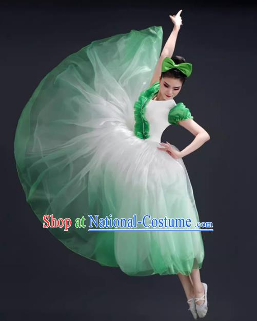 Opening Dance Big Swing Skirt Performance Costume Female Modern Dance Costume Song and Dance Performance Costume Classical Stage Long Skirt