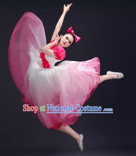 Opening Dance Big Swing Skirt Performance Costume Female Dance Costume Song and Dance Dress Modern Stage Long Skirt