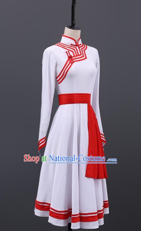 Mongolian Dance Performance Clothing Art Test Custom New Mongolian Costume Test Grade Chinese Ethnic Minorities