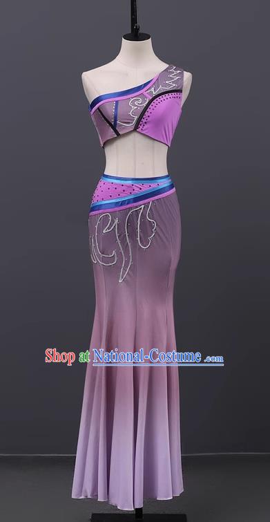 Dai Dance Performance Costumes Female Students Exam Art Examination Practice Chinese Minority Costumes