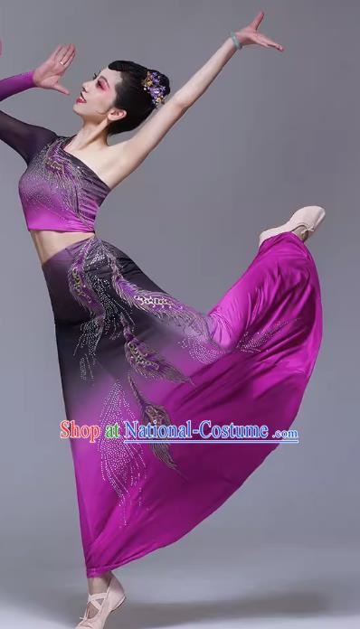 Dai Costume Female Xishuangbanna Children Dai Dance Costume Art Examination Dai Dance Performance Costume Dai Dance Skirt