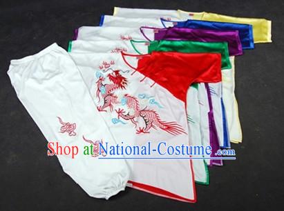 Professtional Embroidered Dragon Kung Fu Tai Chi Uniform for Kids