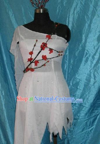 Traditional Chinese Plum Blossom Dance Costumes Complete Set