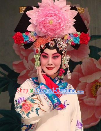 Professional Chinese Opera Princess Hair Accessories Set