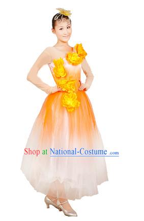 Chinese Stage Dance Costume Ideas Dancewear Supply Dance Wear Dance Clothes Suit and Headpieces Complete Set