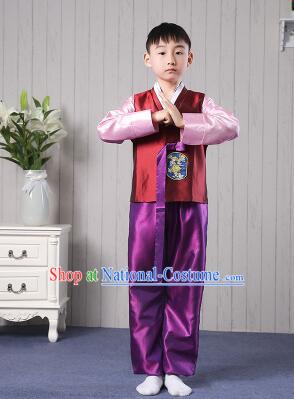 Korean Traditional Dress for Children Boy Clothes Kid Costumes Stage Show Dancing Red Top Purple Pants