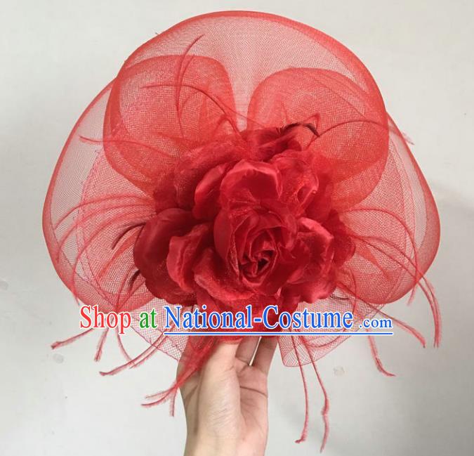 Handmade Baroque Hair Accessories Model Show Red Veil Feather Hair Stick, Bride Ceremonial Occasions Headwear for Women