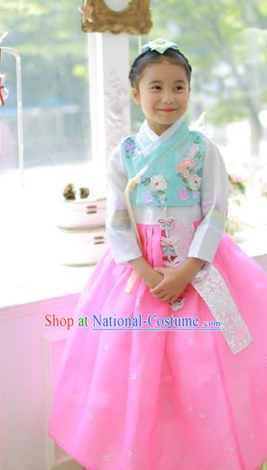 Traditional Korean Handmade Hanbok Embroidered Clothing, Asian Korean Fashion Apparel Hanbok Embroidery Costume for Kids